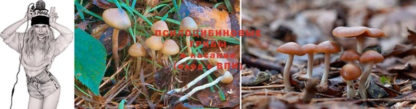 меф Ладушкин