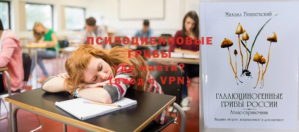 ГАЛЛЮЦИНОГЕННЫЕ ГРИБЫ Лабытнанги