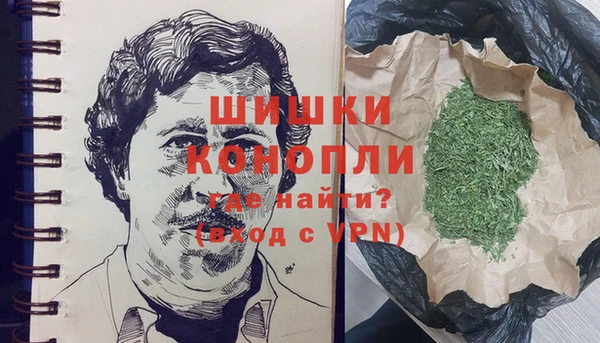 ГАЛЛЮЦИНОГЕННЫЕ ГРИБЫ Лабытнанги