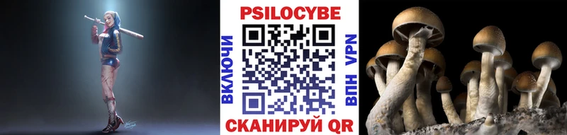 Купить где  Западная Двина  Псилоцибиновые грибы Psilocybine cubensis 