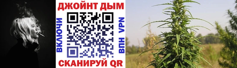 Купить  Западная Двина  Конопля тримм 
